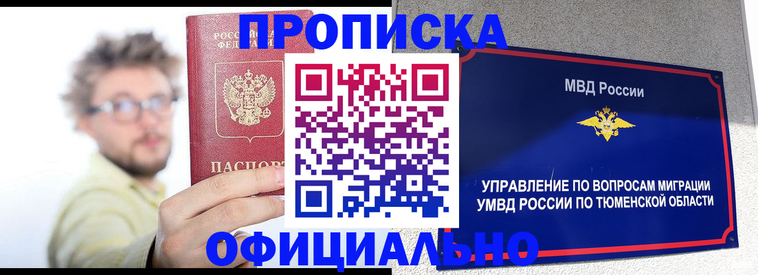 прописка поиск в Торопеце